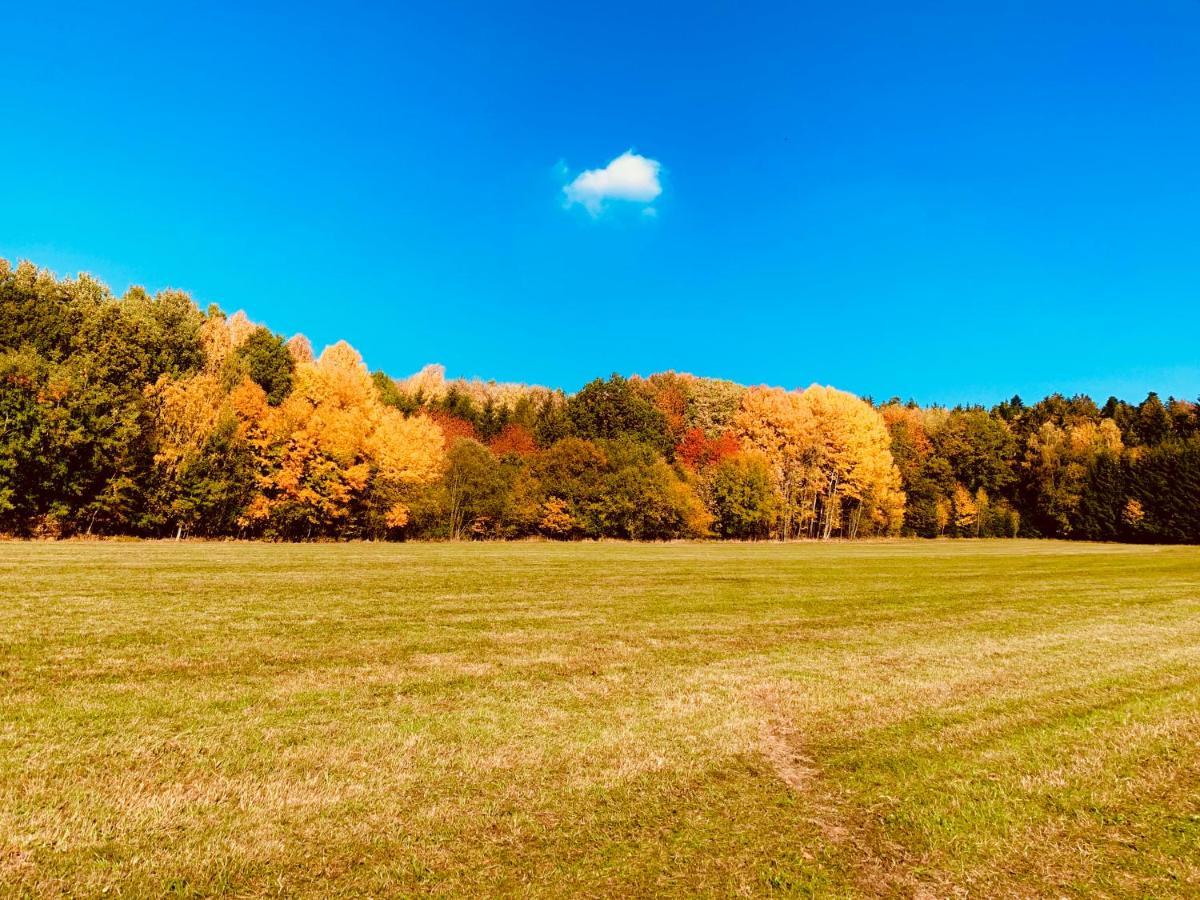 Bayerischer Wald - Balbersdorf Waffenbrunn Eksteriør bilde