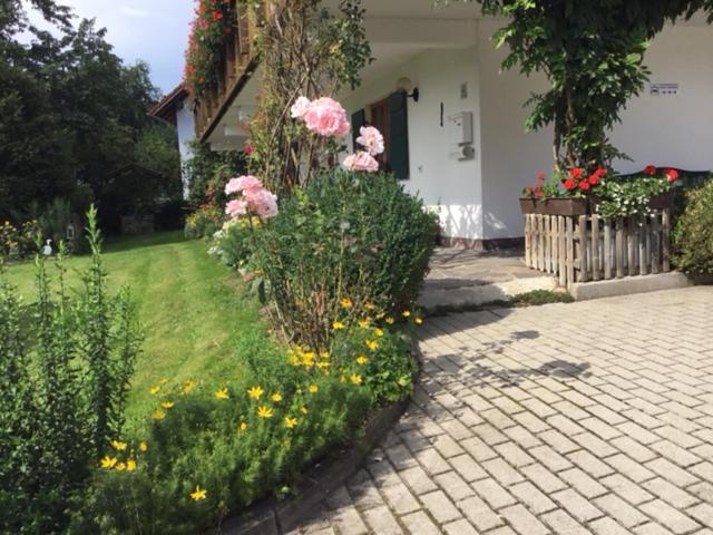 Bayerischer Wald - Balbersdorf Waffenbrunn Eksteriør bilde